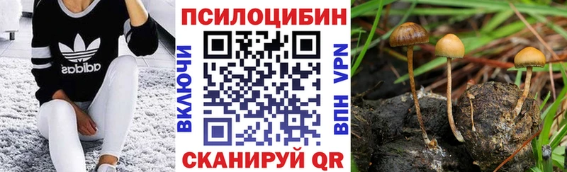 Галлюциногенные грибы ЛСД Кукмор