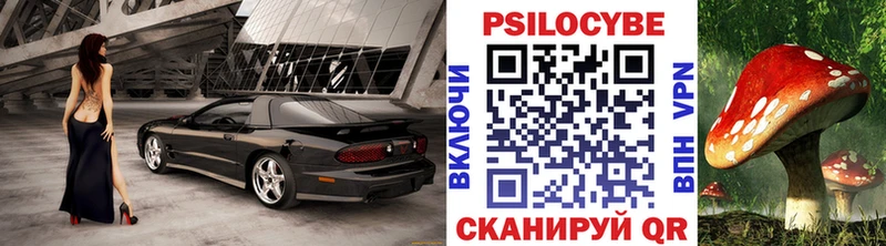 Купить  Кукмор  Псилоцибиновые грибы GOLDEN TEACHER 